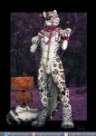  anthro felid feline furry hi_res kinktober male mammal nsfw pantherine petplay pose roleplay sign snow_leopard 