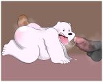  absurd_res all_fours anal anal_penetration animameth anthro blush bodily_fluids brown_bear cartoon_network chubby_anthro chubby_male cum cum_in_mouth cum_inside ejaculation fur genital_fluids giant_panda grizzly_(wbb) grizzly_bear group hi_res ice_bear male male/male mammal panda_(wbb) penetration polar_bear simple_background tongue tongue_out trio ursid ursine we_bare_bears white_body white_fur 