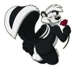  2022 alpha_channel anthro anus backsack balls bedroom_eyes black_body black_eyes black_fur blush butt butt_grab eyebrows flower fur genitals glistening glistening_nose half-closed_eyes hand_on_butt hi_res holding_flower holding_object holding_rose huffaromas label looking_at_viewer looking_back looney_tunes male mammal mephitid multicolored_body multicolored_fur narrowed_eyes pep&eacute;_le_pew plant raised_eyebrows raised_tail rose_(flower) seductive simple_background skunk sniffur solo spread_anus spread_butt spreading stripes teeth toothy_grin transparent_background warner_brothers whisker_spots white_body white_fur 