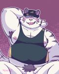  2022 anthro armpit_hair balls blush body_hair clothing felid flaccid genitals hi_res male mammal metasighty moobs nipples overweight overweight_male pantherine penis pubes shirt sitting solo tiger topwear white_body 