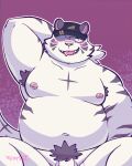  2022 anthro armpit_hair balls belly big_belly blush body_hair clothing felid genitals hat headgear headwear hi_res male mammal metasighty moobs navel nipples overweight overweight_male pantherine penis pubes solo tiger white_body 
