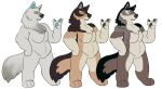  anthro battycat big_breasts blue_pawpads breasts canid canine canis chubby_anthro chubby_belly chubby_female design_sheet female hi_res mammal model_sheet pawpads rosella_sombersnout_(battycat) solo thick_thighs wolf 