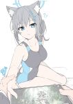  !? 1girl ? ?? absurdres animal_ear_fluff animal_ears bangs bare_arms black_one-piece_swimsuit blue_archive blue_eyes breasts cross_hair_ornament earrings extra_ears genshin_impact grey_hair hair_ornament halo highres holding holding_another&#039;s_wrist holding_tablet_pc jewelry large_breasts looking_at_viewer looking_to_the_side nahida_(genshin_impact) official_alternate_costume parted_lips ponytail pov pov_hands shiroko_(blue_archive) shiroko_(swimsuit)_(blue_archive) simple_background sitting swimsuit t1kosewad tablet_pc white_background 
