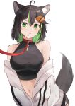 1girl ahoge animal_ear_fluff animal_ears bangs black_hair blush breasts collar colored_inner_hair crop_top green_eyes green_hair hair_between_eyes hair_ornament hairclip highres jacket large_breasts leash long_hair multicolored_hair navel off_shoulder open_clothes open_jacket original parted_lips red_collar shuuzo3 simple_background solo sweat tail viewer_holding_leash white_background white_jacket 
