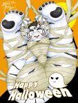  2022 anthro belly bound bulge butt feet felid halloween halloween_costume hi_res holidays kemono male mammal moobs mummy_costume overweight overweight_male pantherine solo tanutronik753_k tiger white_body 