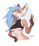  anthro big_ears breasts canid canine danomil female fox hair hi_res long_hair mammal smug smug_expression smug_face smug_grin solo under_boob 