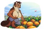  anthro barefoot big_breasts biped breasts brown_body brown_fur claws clothed clothing crouching digital_media_(artwork) digitigrade feet female finger_claws food fruit fur green_eyes gulonine hi_res mammal marten multicolored_body multicolored_fur mustelid musteline nipples outside pine_marten plant pumpkin pumpkin_patch smile solo toe_claws topless topless_anthro topless_female vateo whiskers white_body white_fur 