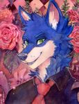  2022 akatan_art anthro black_clothing black_topwear blue_body blue_fur bust_portrait canid cheek_tuft clothed clothing dated facial_tuft floral_background flower fur glistening glistening_eyes green_eyes head_tuft hi_res male mammal neck_tuft necktie plant portrait red_necktie rose_(flower) signature smile solo topwear traditional_media_(artwork) tuft white_body white_fur 