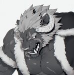  1boy animal_ears bara bare_pectorals commentary curled_horns fur-trimmed_jacket fur_trim furry furry_male greyscale hood hooded_jacket horns jacket krampus_(housamo) large_pectorals long_sideburns male_focus medium_hair monochrome muscular muscular_male norasame_(dagako) pectorals saliva scar scar_across_eye scar_on_chest sideburns simple_background solo thick_eyebrows tokyo_afterschool_summoners tongue tongue_out tusks upper_body white_background 