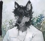  akatan_art anthro black_hair black_nose blue_eyes bust_portrait canid cheek_tuft clothed clothing ear_piercing ear_ring facial_tuft front_view fur glistening glistening_eyes glistening_nose grey_body grey_fur hair hi_res male mammal neck_tuft open_mouth open_smile piercing plant portrait ring_piercing short_hair shrub smile solo topwear traditional_media_(artwork) tuft unsigned white_clothing white_topwear 