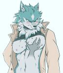  absurd_res annoyed anthro blush brand_new_animal canid canine canis clothed clothing clothing_lift coat collar disembodied_hand hi_res kyron-ladon male mammal neck_tuft rubbing_chest shirou_ogami shirt shirt_lift solo studio_trigger topwear tuft wolf 