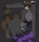  absurd_res alain_the_raccoon alain_the_raccoon_(softthaicat) ambiguous_gender anthro clothing drawing_trans genitals girly hi_res legwear looking_at_viewer male mammal penis procyonid raccoon small_penis solo thigh_highs 