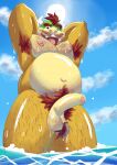  anthro armpit_hair balls biceps body_hair bowser chest_hair cloud erection facial_hair foreskin garrapata2000 genitals hairy_balls hairy_legs hands_behind_head hi_res koopa looking_at_viewer looking_down_at_viewer male mario_bros musclegut mustache nintendo nude partially_submerged pecs penis pose pubes scalie skinny_dipping slightly_chubby smile solo sun video_games water 