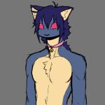  anthro bangs bell bell_collar black_nose blue_body blue_fur blue_hair chest_tuft collar dreamscreep felid feline fur hair hi_res inner_ear_fluff male mammal mika_(dreamscreep) muscular muscular_anthro muscular_male pink_eyes prick_ears solo tuft yellow_body yellow_fur 