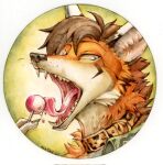  2022 akatan_(character) akatan_art anthro blue_eyes brown_hair candy canid canine cheek_tuft collar dated dessert facial_markings facial_tuft fangs food fox fur glistening glistening_eyes hair head_markings headshot_portrait hi_res licking lollipop male mammal markings mouth_shot narrowed_eyes neck_tuft open_mouth orange_body orange_collar orange_fur pink_tongue portrait signature simple_background solo tan_body tan_fur tongue tongue_out tuft 