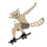  ailurid anthro bottomwear clothing dog_tags hi_res jaxneesen male mammal red_panda shorts skateboard solo 
