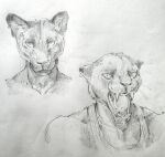  akatan_art anthro bust_portrait clothed clothing ear_piercing ear_ring felid front_view greyscale hi_res looking_at_viewer male mammal monochrome mouth_shot muscular muscular_anthro muscular_male open_mouth piercing portrait ring_piercing simple_background sketch sketch_page solo tongue unsigned whiskers 