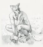  akatan_art anthro armband canid cheek_tuft claws crouching ear_piercing ear_ring facial_tuft full-length_portrait greyscale hi_res male mammal monochrome nude piercing plant portrait ring_piercing rock shrub simple_background solo three-quarter_view toe_claws tuft unsigned 