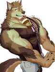  absurd_res anthro beverage biceps blush brown_body brown_fur canid canine canis clothing coffee coffee_cup container crystal cup domestic_dog drinking fur hi_res jewelry lifewonders live-a-hero male mammal muscular muscular_anthro muscular_male necklace pecs pubraseer shirt solo straw tank_top topwear video_games vlw4zegrsgtsi6e 