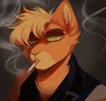  2019 anthro blonde_hair cigarette_in_mouth clothing cyamallo_(artist) felid feline fur hair headshot_portrait jacket looking_down male mammal narrowed_eyes orange_body orange_fur phoenix_(maxspec) portrait solo topwear yellow_body yellow_fur 