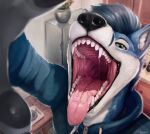  2022 absurd_res anthro black_nose blue_body blue_clothing blue_fur blue_hair blue_jacket blue_topwear bodily_fluids bust_portrait canid canine canis clothed clothing dated domestic_dog fangs fox fur glistening glistening_eyes green_eyes hair hi_res high-angle_view husky hybrid inside jacket kiva~ looking_at_viewer male mammal mouth_shot narrowed_eyes nordic_sled_dog open_mouth pink_tongue portrait saliva saliva_on_tongue saliva_string signature solo spitz tongue tongue_out topwear white_body white_fur 