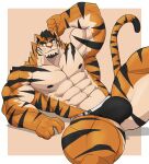  abs anatake anthro biceps big_muscles black_clothing black_thong black_underwear bulge clothing countershading felid fur hi_res huge_muscles lying male mammal muscular muscular_anthro muscular_male on_back orange_body orange_eyes orange_fur pantherine pecs quads simple_background solo stripes thong tiger underwear 