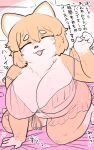  &lt;3 :d absurd_res anthro babydoll bed breasts brown_body brown_fur brown_hair canid canine canis cleavage clothed clothing countershading domestic_dog eyes_closed female fur furniture gloves_(marking) hair hi_res japanese_text kawaiishinitai kemono kneeling leg_markings lingerie mammal markings nightgown nikushiba-chan open_mouth shiba_inu smile socks_(marking) solo spitz text translation_request white_body white_fur 