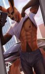  aaron_(shadow_fox10) abs anthro banni_art bottomwear bulge canid canine car cellphone clothed clothing clothing_lift fox hi_res male mammal muscular muscular_anthro muscular_male nipples obliques outside pants pecs phone selfie shirt shirt_lift skyscraper smartphone smile t-shirt teeth topwear vehicle yellow_eyes 