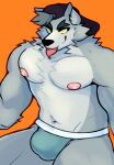  anthro bulge canid canine canis clothing hat headgear headwear hi_res looking_away male mammal muscular muscular_anthro muscular_male navel nipples pecs simple_background solo tongue tongue_out underwear we_baby_bears wolf wolf_(we_baby_bears) zetameow 