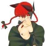  1girl animal_ears bow braid cat_ears cropped extra_ears from_above highres kaenbyou_rin long_hair pasties pointy_ears red_eyes red_hair solo touhou twin_braids zuttokodomo 
