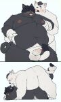  2022 absurd_res anthro balls belly belly_grab big_belly black_body blush domestic_cat duo erection felid feline felis genitals hi_res kemono male male/male mammal moob_grab moobs navel nipples obese obese_male overweight overweight_male penis quanjiang sex white_body 