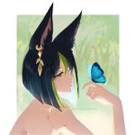  1boy animal_ear_fluff animal_ears artist_name bangs bare_shoulders bishounen black_hair blue_butterfly blunt_ends brown_eyes bug butterfly butterfly_on_hand colored_eyelashes commentary_request earrings fox_boy fox_ears genshin_impact grass green_background green_eyes green_hair hair_between_eyes hanapen hand_up jewelry looking_away male_focus mixed-language_commentary multicolored_background multicolored_eyes multicolored_hair parted_lips profile short_hair sidelocks single_earring solo streaked_hair tighnari_(genshin_impact) topless upper_body watermark wet white_background 