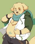  anthro bird_dog blush canid canine canis clothed clothing cu_sith_(tas) domestic_dog fur golden_retriever hunting_dog jacket lifewonders lt45t male mammal open_clothing open_jacket open_topwear overweight retriever scarf shirtless solo tokyo_afterschool_summoners topwear video_games yellow_body yellow_fur 