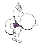  anthro belly big_belly canid canine canis clothing eye_patch eyewear hewge hi_res male mammal musclegut muscular muscular_male nintendo overweight overweight_male pecs solo star_fox underwear video_games wolf wolf_o&#039;donnell 