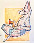  animal_genitalia animal_pussy anus canid canine canine_pussy canis domestic_dog fanta_leaves female feral genitals hi_res mammal painting_(artwork) pussy reading sketch solo solo_focus traditional_media_(artwork) watercolor_(artwork) 