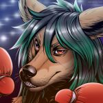  1:1 2020 ambiguous_gender anthro artist_name black_hair boxing_gloves brown_body brown_fur brown_nose bust_portrait cheek_tuft chin_tuft clothing dated facial_tuft fur green_hair hair handwear kangaroo looking_at_viewer macropod mammal marsupial multicolored_hair portrait red_eyes simple_background slash_freezen solo tan_body tan_fur teeth tuft two_tone_hair whiskers 