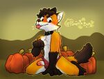  anthro autumn balls blush canid canine canis clothed clothing digital_media_(artwork) erection food fox fruit fur genitals good_boy hair looking_at_viewer male male/male mammal nude penis plant pumpkin pumpkinbon raul_(pumpkinbon) simple_background smile solo solo_focus white_body young 