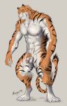  absurd_res balls felid feline genitals hi_res male mammal mongry1984 muscular pantherine pecs penis pubes solo solo_focus tiger white_body 