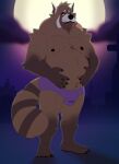  absurd_res ailurid anthro belly bulge canid canine cemetery claws clothing cloud hi_res holorilla humanoid hybrid looking_at_viewer male mammal minedoo_(character) moon night nipples red_panda solo standing tusks underwear ursid were werecanid werecanine wereursid werewolf 