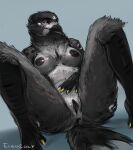  anthro anus avian beak bird bird_feet black_body black_feathers breasts claws corvid eleacat eyelashes feathers female genitals hi_res leaning leaning_back looking_at_viewer magpie_(corvid) nipples non-mammal_breasts nude oscine passerine purple_eyes pussy solo tail_feathers 