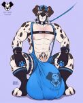  anthro big_bulge bulge canid canine canis clothing collar dalmatian domestic_dog hat headgear headwear hi_res huge_bulge hyper hyper_bulge kamuibehemoth leash looking_at_viewer male mammal nipple_piercing nipples one_eye_closed piercing solo 