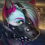 1:1 2021 ambiguous_gender anthro artist_name black_collar blue_body blue_fur blue_hair canid cheek_tuft collar dated facial_tuft fur green_collar green_eyes hair looking_at_viewer mammal multicolored_hair muzzle_(object) muzzled neck_tuft outside pink_body pink_fur pink_hair rooftop slash_freezen solo tuft two_tone_hair white_body white_fur 
