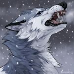  1:1 2022 a.o.kigahara angry black_nose blue_eyes canid canine canis colored digital_drawing_(artwork) digital_media_(artwork) digital_painting_(artwork) easterndog feral fur grey_body grey_fur headshot_portrait icon line_art looking_at_viewer male mammal open_mouth portrait shaded signature simple_background snow solo teeth tongue white_body white_fur winter wolf 