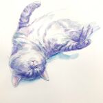  animal animal_focus artworksmil cat closed_eyes lying no_humans on_back original painting_(medium) solo traditional_media watercolor_(medium) white_background 