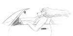 anthro biped car convertible driving driving_nude eyewear felid flowing_mane leonidae lion male mammal mane nude nude_anthro nude_male pantherine pecs pencil side_view sketch solo sunglasses vehicle