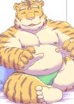 2024 anthro belly clothing eyes_closed felid humanoid_hands kemono male mammal misterdonn moobs navel nipples overweight overweight_male pantherine pillow pink_nose sitting solo tiger underwear