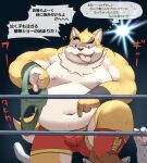 2024 anthro belly big_belly bulge canid canine canis clothing domestic_dog duo fighting_ring humanoid_hands japanese_text kemono male mammal meg_hoi moobs navel nipples overweight overweight_male solo_focus text tongue tongue_out underwear