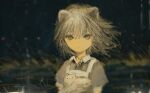  1girl :| absurdres animal animal_ears apron blurry cat cat_ears ciel_(paradis47) closed_mouth collared_shirt cracked_paint depth_of_field dress empty_eyes expressionless floating_hair grey_dress grey_eyes grey_hair half-closed_eyes highres holding holding_animal holding_cat looking_at_viewer medium_bangs medium_hair no_nose original puffy_short_sleeves puffy_sleeves shirt short_sleeves signature solo tsurime upper_body white_apron white_shirt wind 