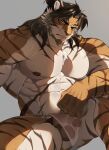  1boy abs absurdres adkt animal_ears arknights bara beard black_hair cropped english_commentary facial_hair fundoshi furry furry_male grey_background highres huai_tianpei_(arknights) japanese_clothes light looking_at_viewer male_focus male_underwear muscular muscular_male nipples pectorals shadow tiger_boy tiger_ears tiger_stripes topless_male underwear wet wet_clothes wet_male_underwear yellow_eyes 