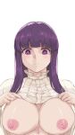  1girl blunt_bangs breasts capelet closed_mouth fern_(sousou_no_frieren) highres large_breasts lifted_by_self long_hair looking_at_viewer nipples purple_eyes purple_hair purple_pupils simple_background solo sousou_no_frieren straight_hair tyrone upper_body white_background white_capelet 